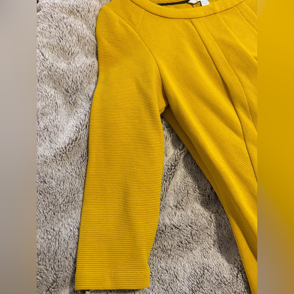 Boden Ottoman Shift Dress - Picture 12 of 14